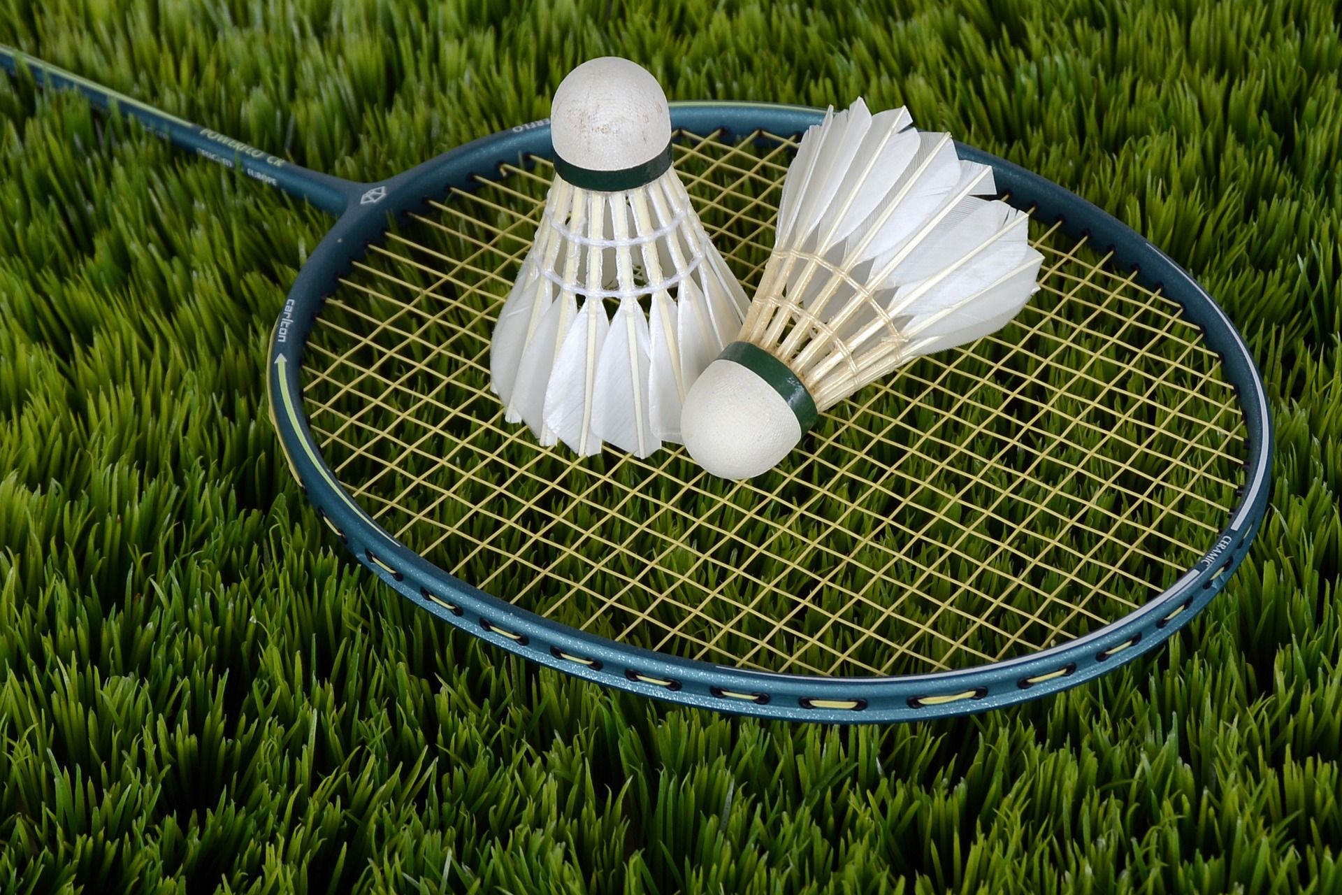 Badminton фото 1